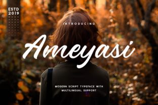 Ameyasi: A Display Font That Brings Character to Web Design