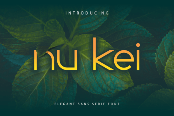 Nu Kei: A Display Font That Gives Your Brand a Clean, Futuristic Edge