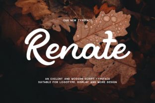 Renate: A Display Font Built for Editorial Impact