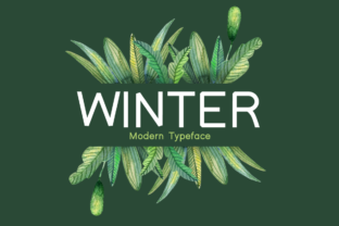 Winter: A Bold Font for Creative Projects